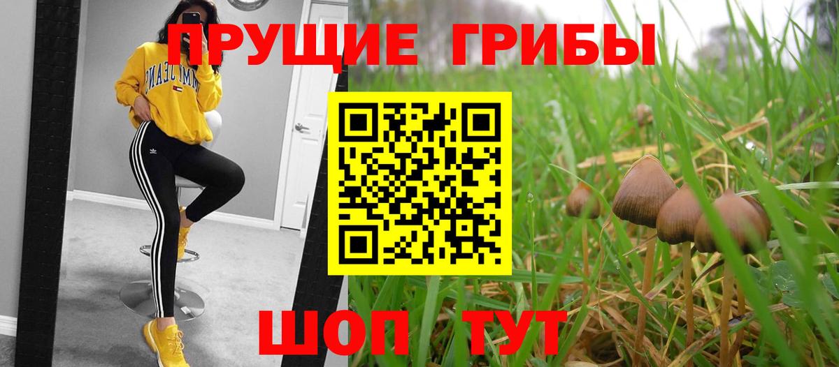 Конаково  Галлюциногенные грибы MAGIC MUSHROOMS  Вход с VPN 